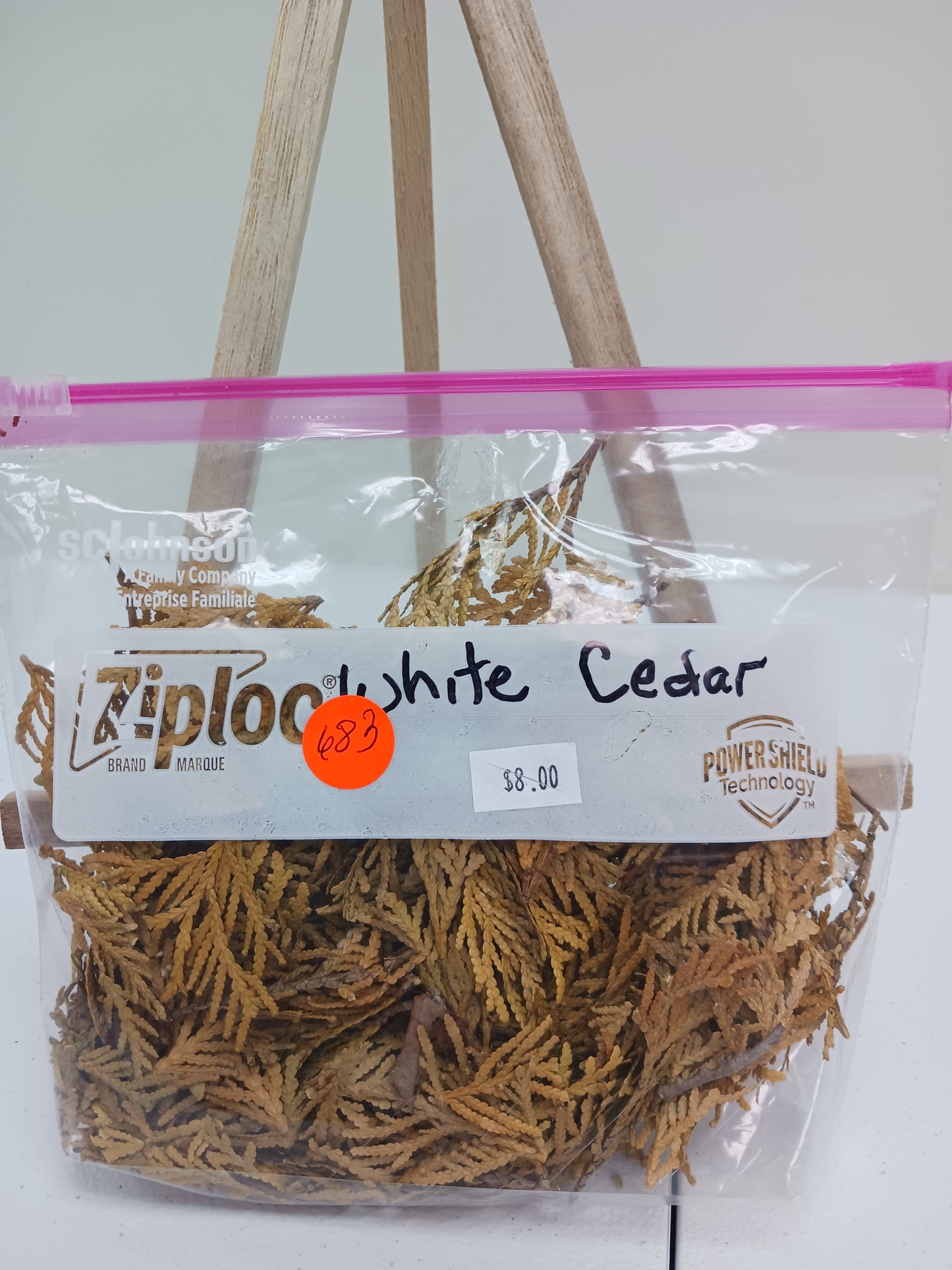White Cedar