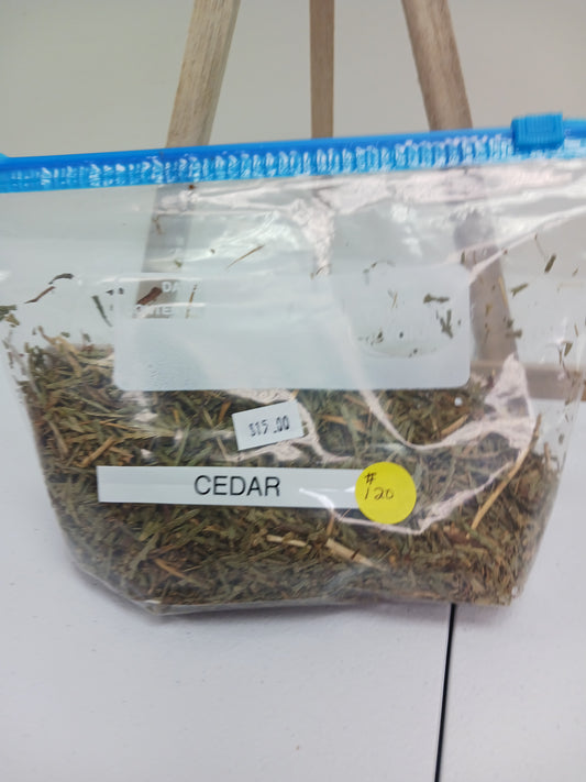 Cedar