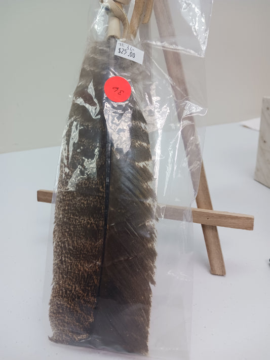 Turkey Feather