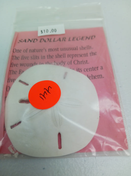 Sand Dollar