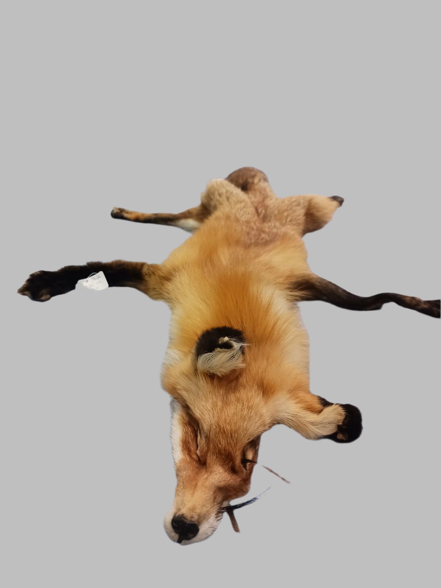 Animal Fur