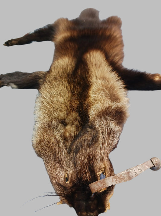 Animal Fur