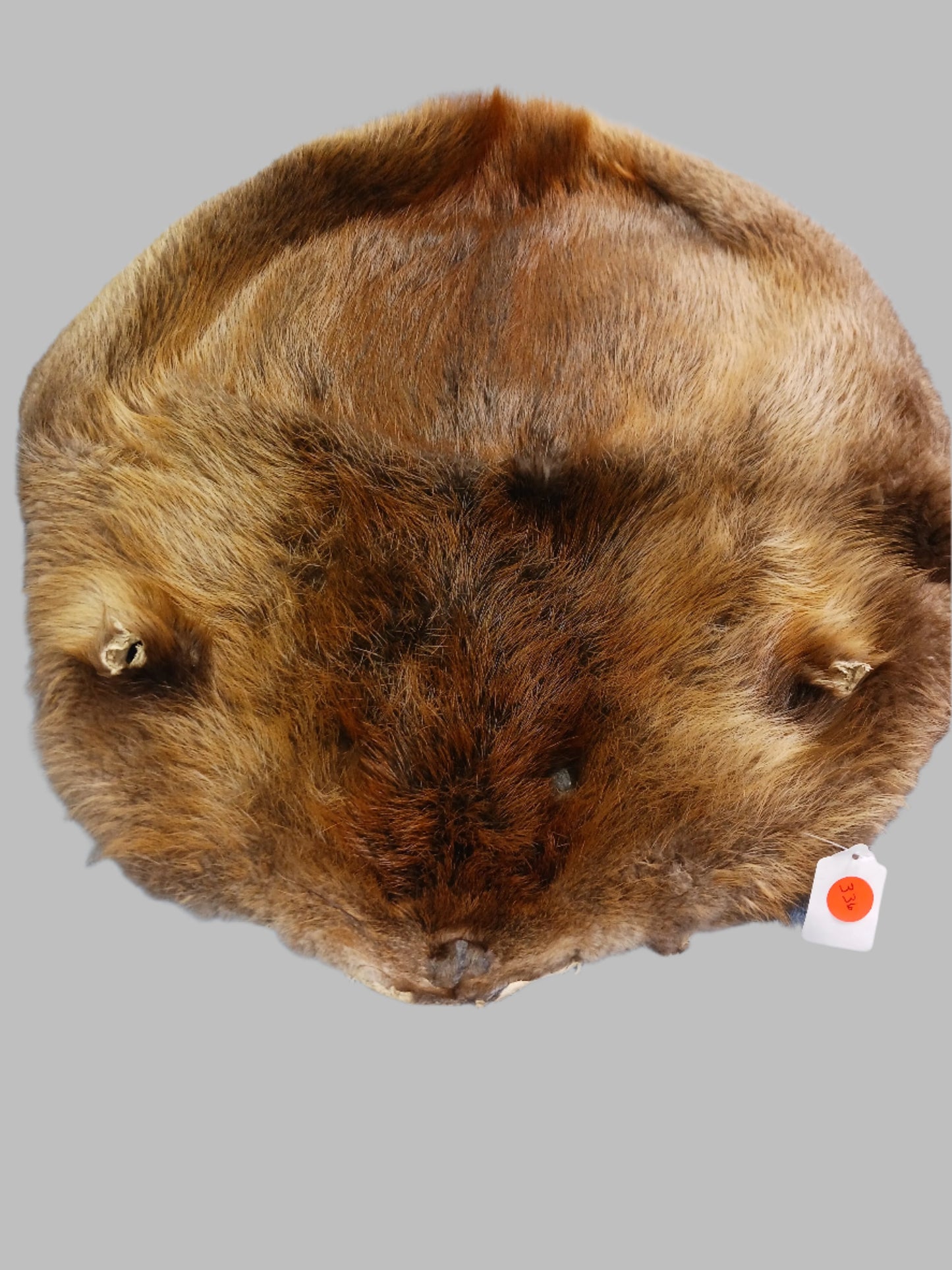 Animal Fur