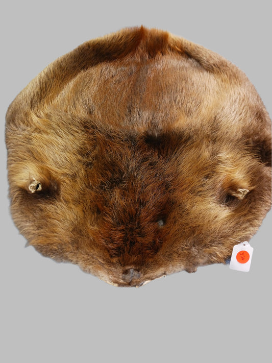Animal Fur
