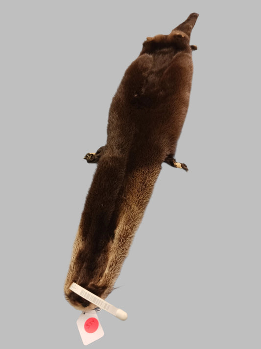 Animal Fur