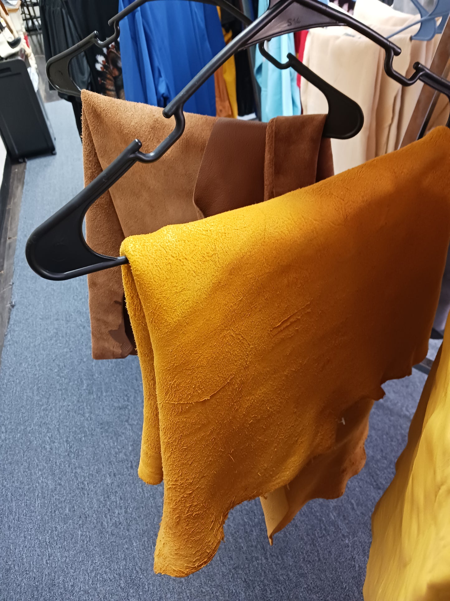 Animal Hides