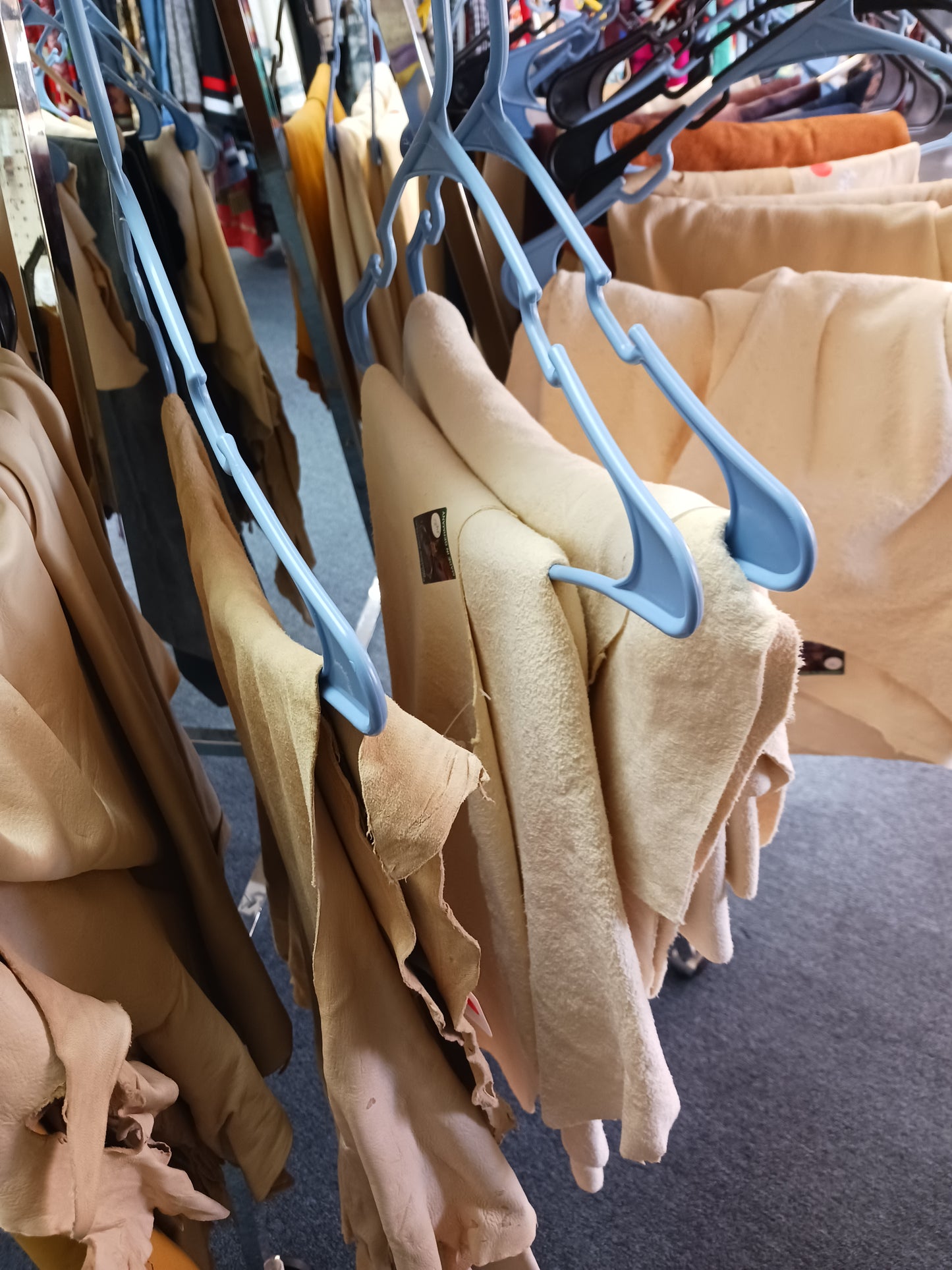 Animal Hides