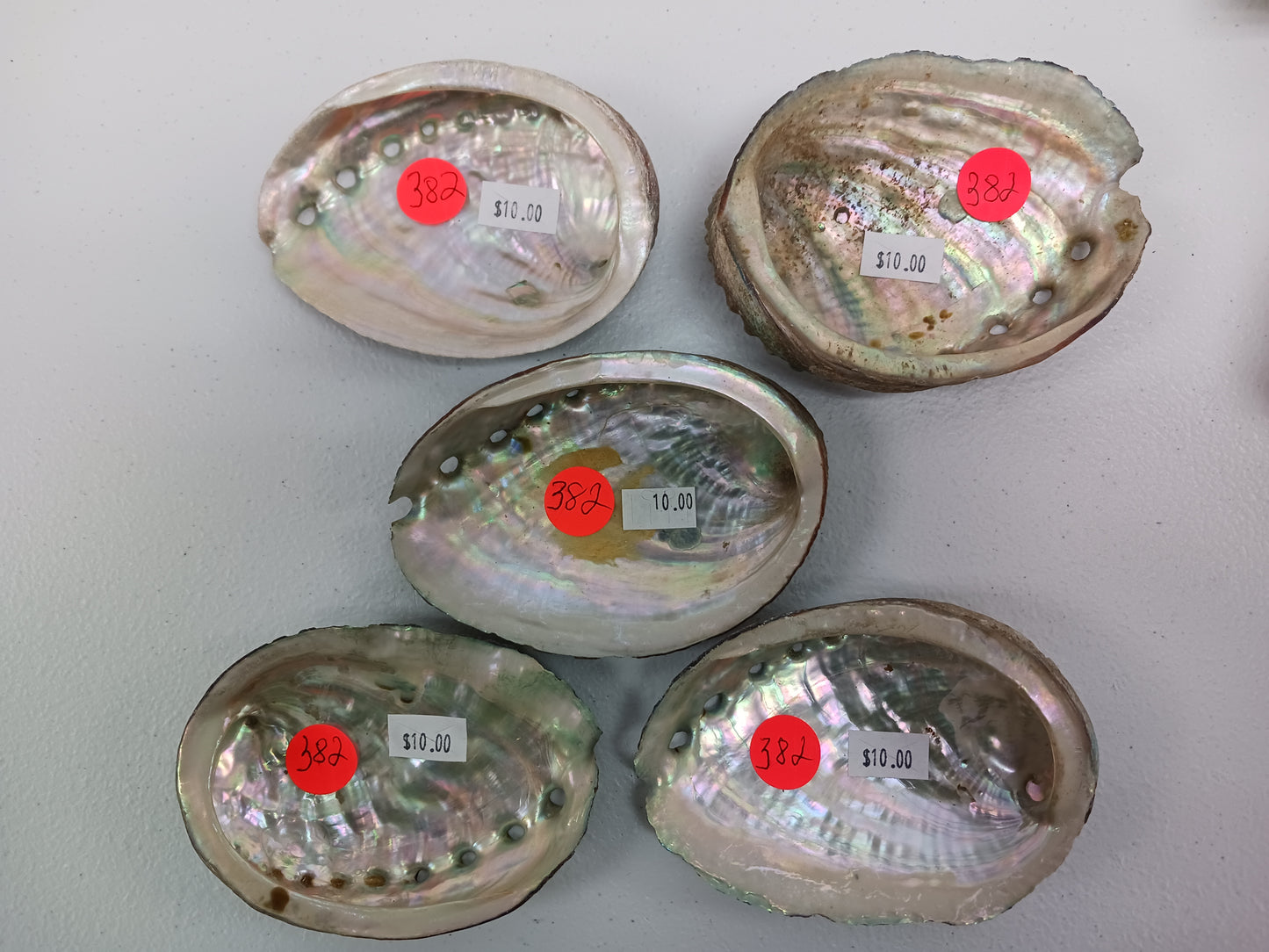 Shells