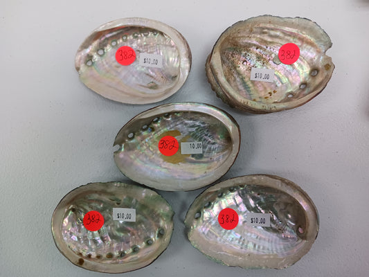Shells