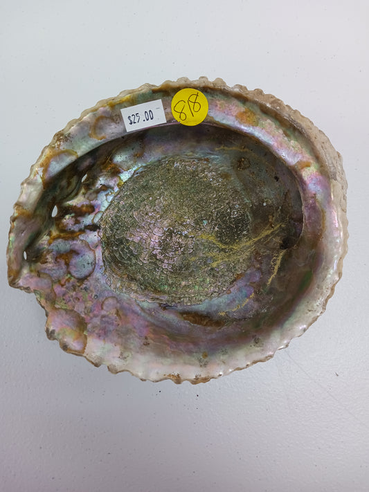 Shells