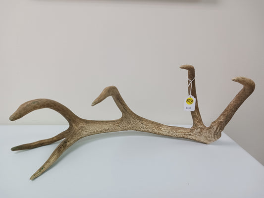 Antler